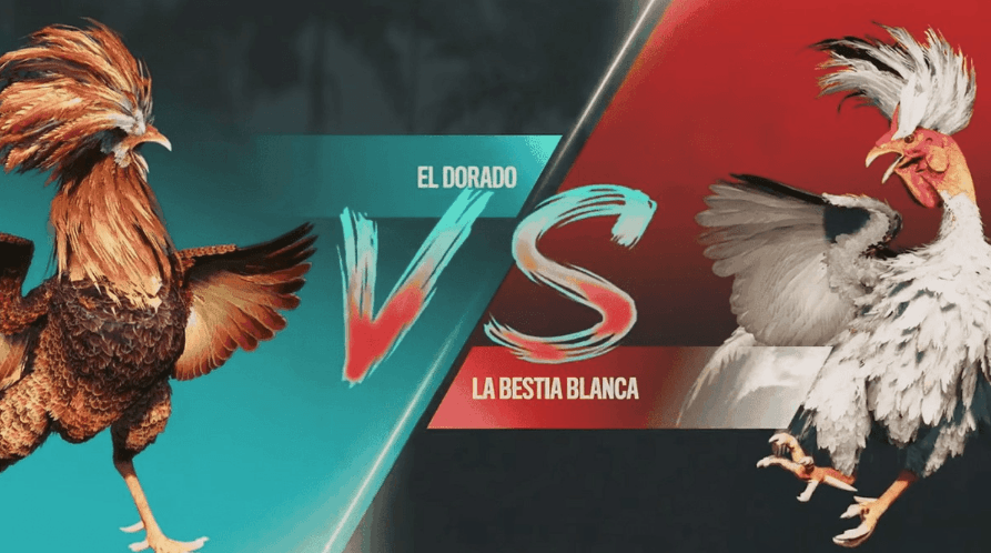 leopardowin login Plataforma Sport